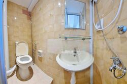 Dunearn Road (D11), Apartment #554139561